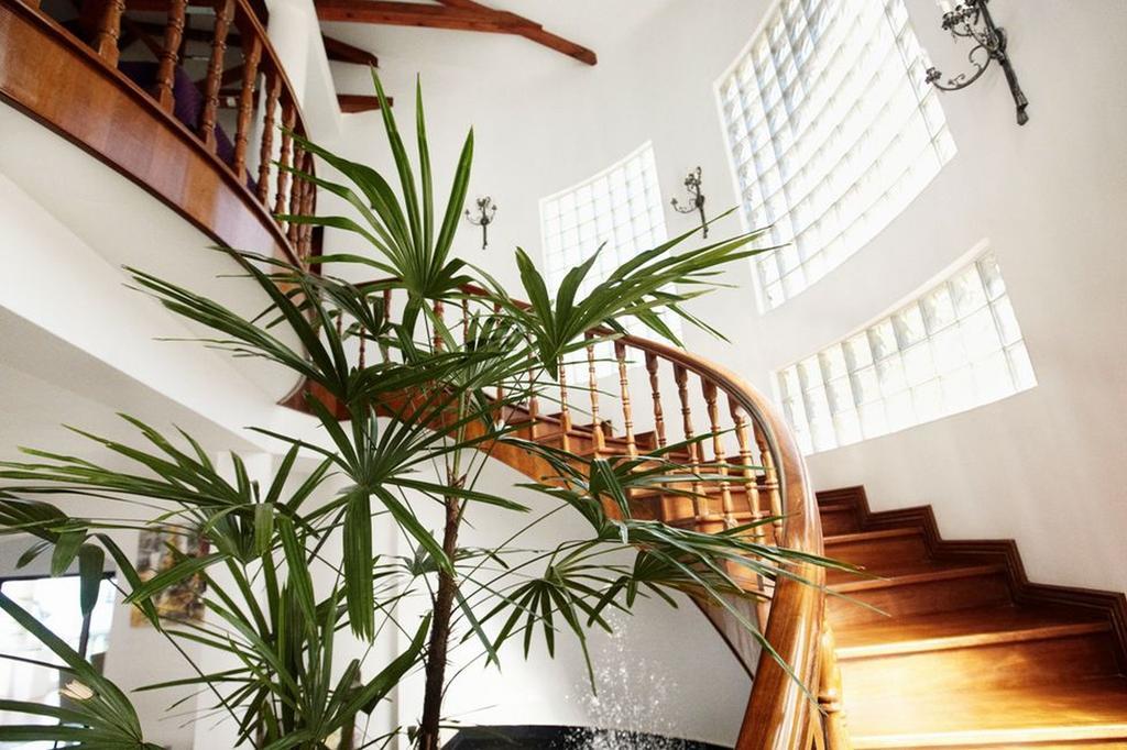 Petit Amour Villa Glacis  Luaran gambar